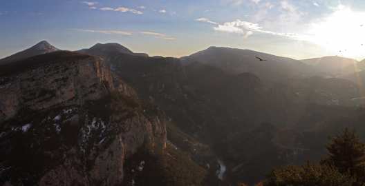 Rougon